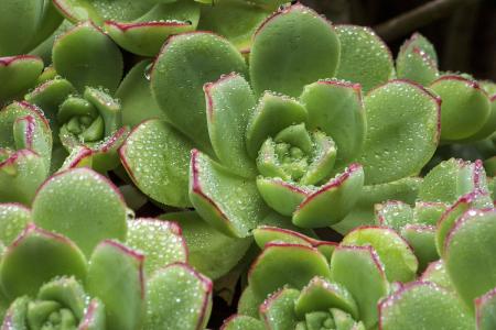 ½èµ÷½èµ÷£¬½è¶ø²»µ÷£¡¾¯Ìè»ù²ãËæÒâÐÔ½èµ÷³£Ì¬»¯