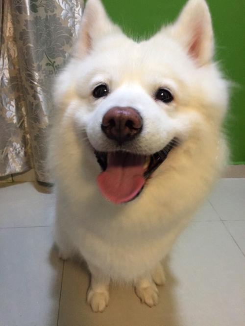 ÎÒ¹ú½¨Á¢·¿µØ²ú´û¿î¼¯ÖжȹÜÀíÖÆ¶È ÉèÖÃÕ¼±ÈÉÏÏÞ