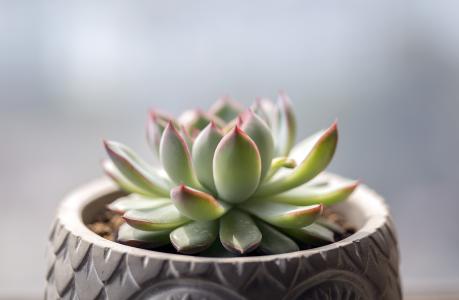 ¾öÕ½¾öʤÍÑÆ¶¹¥¼á£üÈúË×Ó