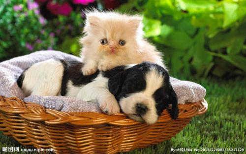 ºþ±±±£Éñ¸ßËÙÈ«Ïß¹áͨ ÉñÅ©¼Ü½«¿çÈë