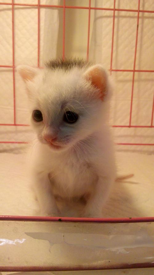 ×îлã×Ü!È«¹ú¹²ÓÐ22¸öµØÇøµ÷ÕûΪÖзçÏÕµØÇø