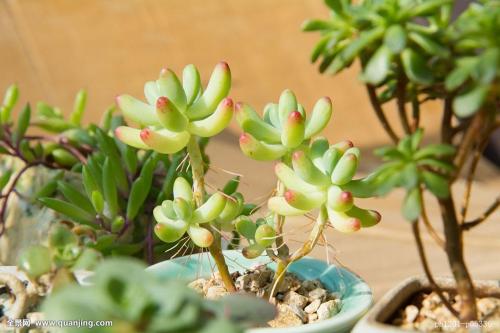 Ã÷Äê3ÔÂ1ÈÕÆð,ÕâЩ»õÔ˼ÝʻԱ´ÓÒµ×ʸñ¿¼ÊÔÈ¡ÏûÀ²