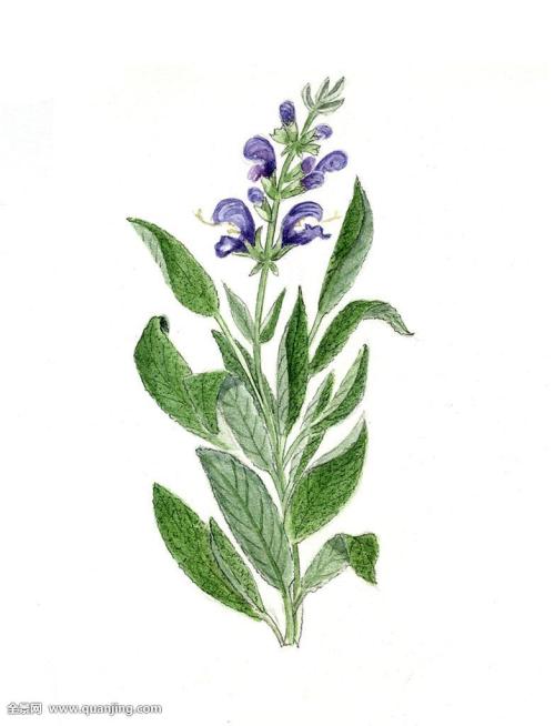 ÕþÎñ·þÎñÔõôÑù£¿¡°ºÃ²îÆÀ¡±µÈÄãÀ´ÆÀ