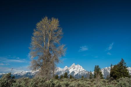 ֯ȫۼ¹ȷﲡ79673754