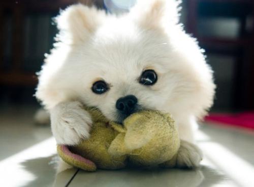 Ñé¹Ïʦ³ÉÍøºì!ÈÕÇÃÎ÷¹Ï3000¸ö ¾«×¼±æ±ðÌð¶Èºñ¶È