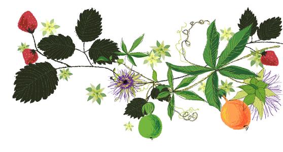 ÐÂÍ»ÆÆ£¡Öйú³ÇÏçµÍ±£±ê×¼·Ö±ðÔö³¤7.7%¡¢11.3%